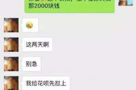 阳新企业清欠服务